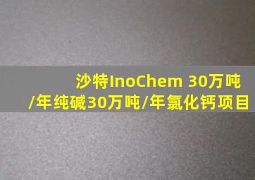 沙特InoChem 30万吨/年纯碱30万吨/年氯化钙项目